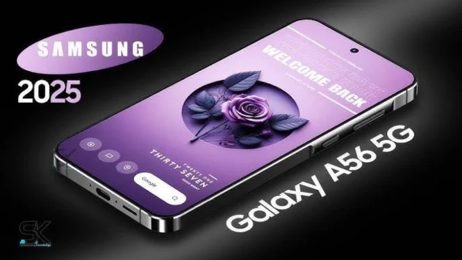 Samsung Galaxy A56 Hadirkan Pembaruan Fitur dan Keamanan
