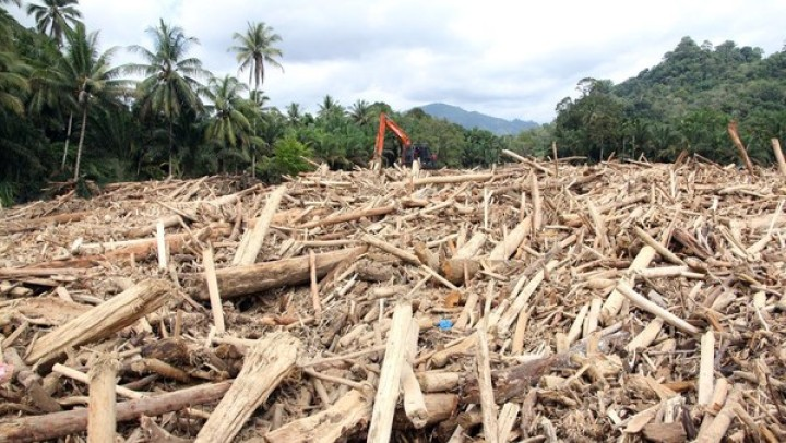 24 Perusahaan HPH HTI Diaudit Terkait Banjir Sumatera 2025